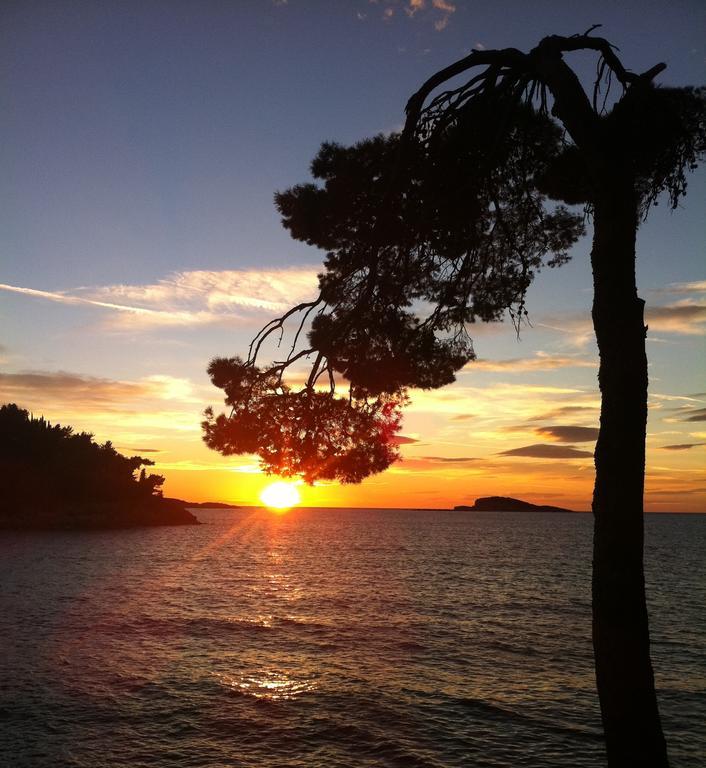 Epidaurum Apartments Cavtat Rom bilde
